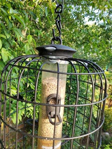 Guardian for Apollo 5 Port Seed Feeder