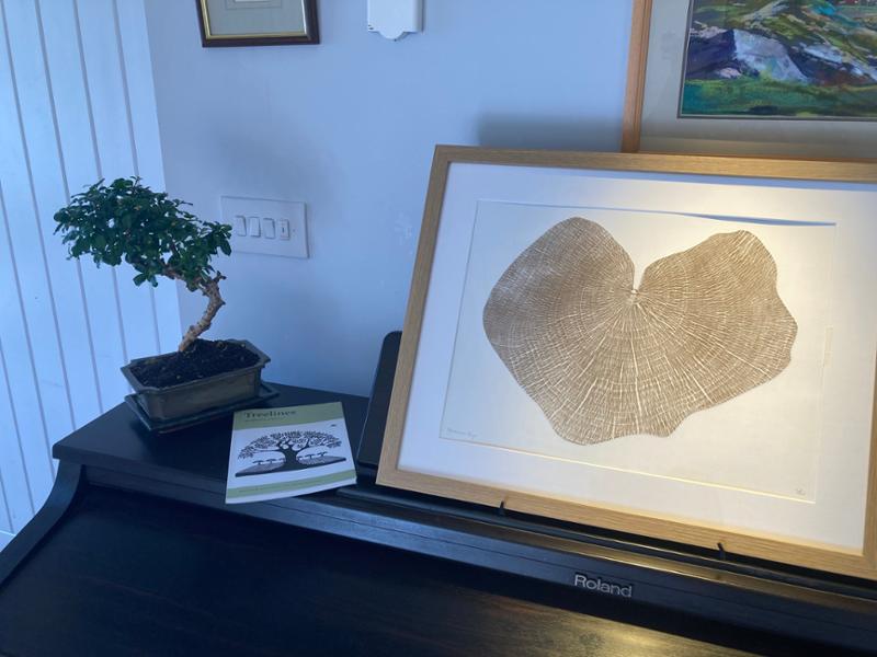 Shona Branigan Original Sycamore Gap Print, Gold Medium