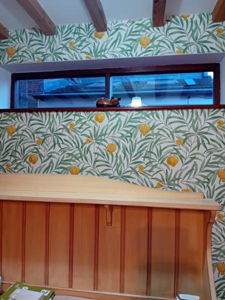Pomegranate Wallpaper Green/Yellow Belgravia Decor 9612
