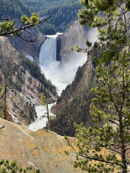 Grand Teton, Yellowstone and Mt. Rushmore