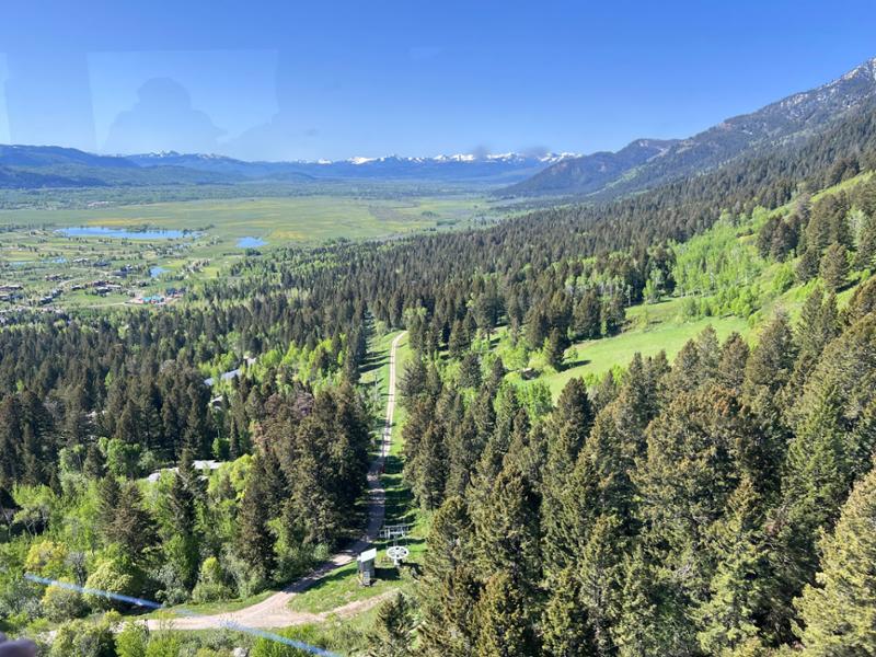 Grand Teton, Yellowstone and Mt. Rushmore