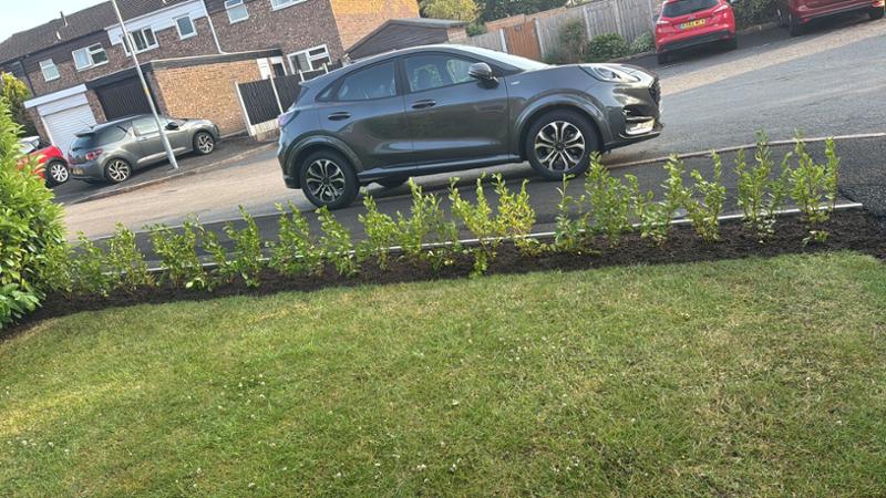 Best price online we found and free delivery, lovely plants