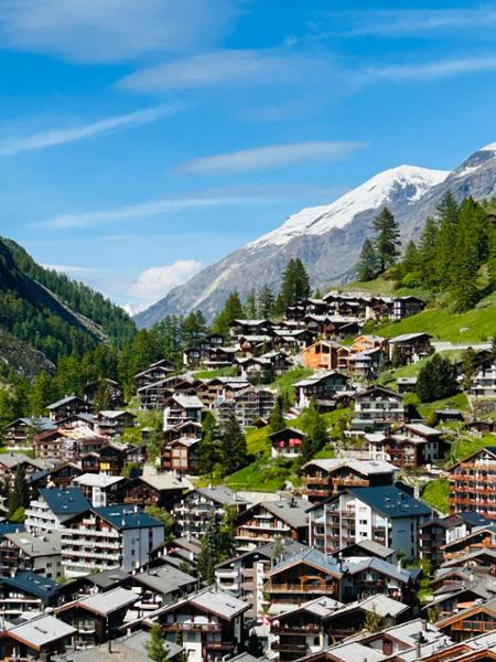 4765-Trains of Switzerland