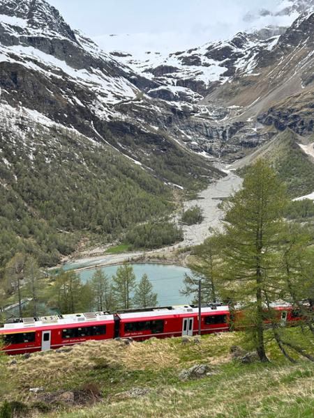 4765-Trains of Switzerland