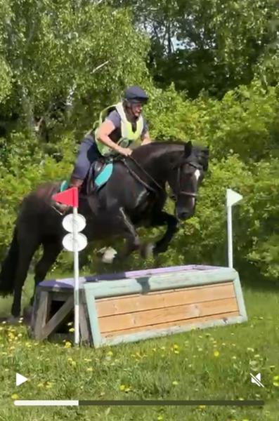 Glucosamine Hydrochloride Equine Joint Supplement