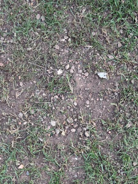 Awful top soil!