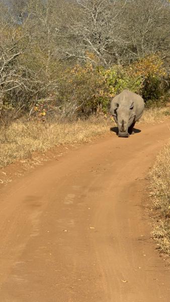 Unforgettable South Africa Journey – Culture, Wildlife, and Luxury Combined
