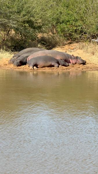 Unforgettable South Africa Journey – Culture, Wildlife, and Luxury Combined