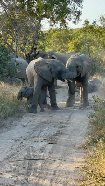 South Africa & Zimbabwe
