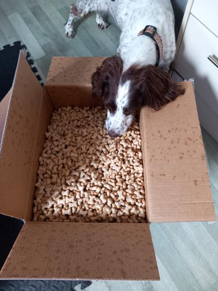 Milky and Cheesy Small Bite Bones 10kg