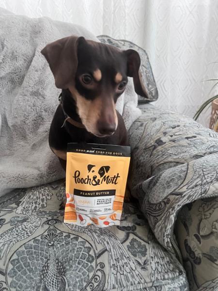 Meaty Dog Treats Multipack | 3 Flavours | Hypoallergenic | 3 x 120g | Grain Free & Natural Ingredients | Pooch & Mutt | Vet Recommended