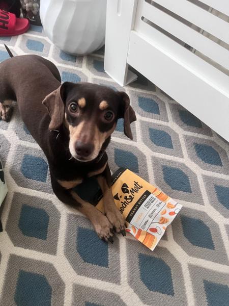 7 Pack Peanut Butter Dog Treats | 7 x 120g | Vegan Dog Treats | Grain Free & Natural Ingredients | Vet Recommended | Pooch & Mutt