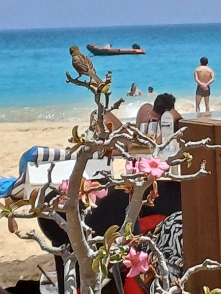 10 days in Paradise