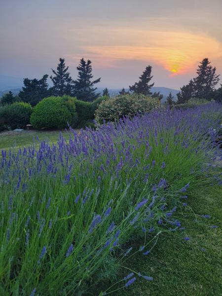 Villa Ardore, Tuscany