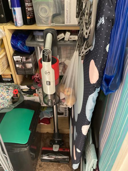 Home & Garden > Household Appliances > Vacuums