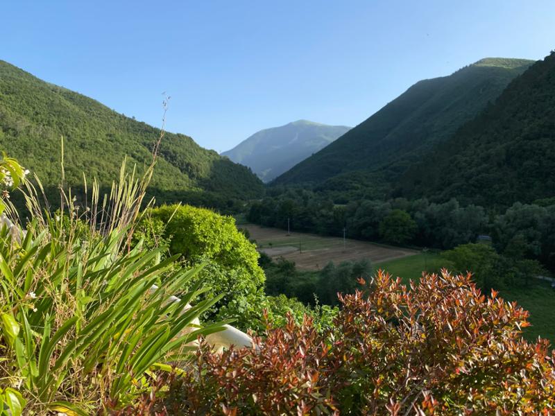 Umbria, a fabulous walking trip thru a beautiful & quiet part of Italy.