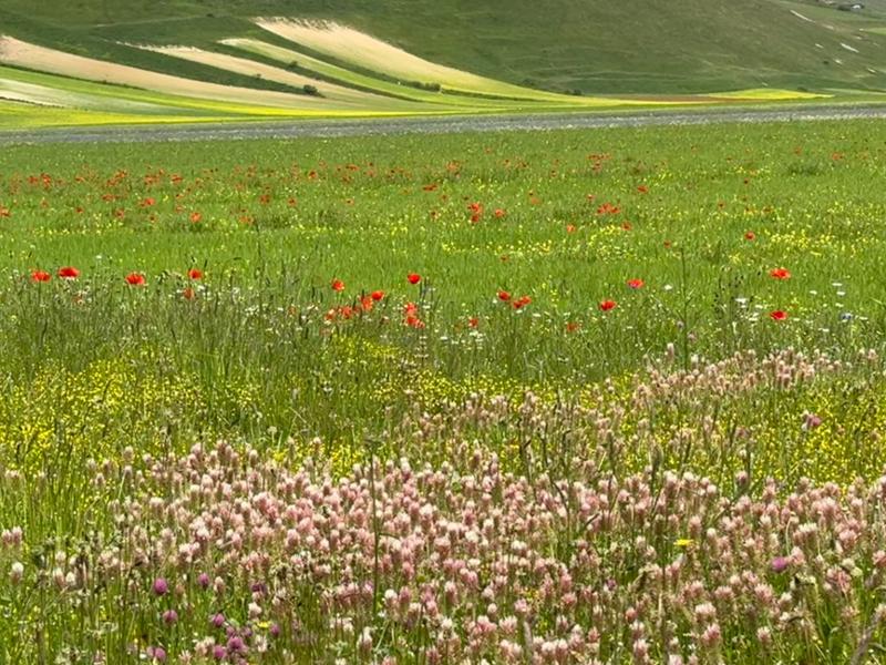 Umbria Hiking Trip.  Great Hiking & Dining Experience!