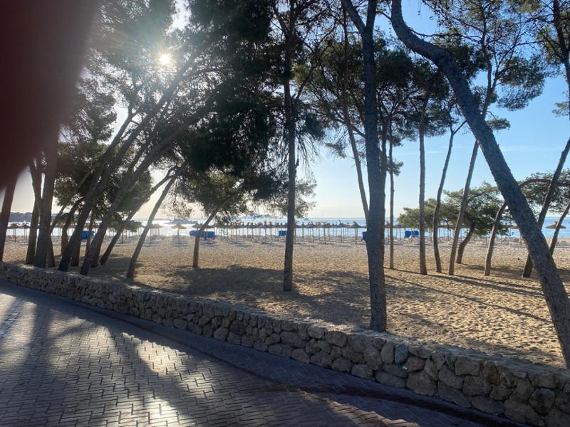 Fly Direct & Majorca