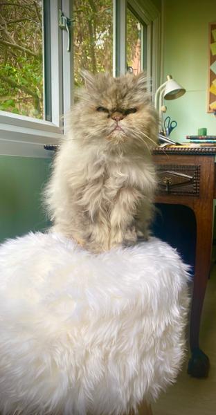 Sheepskin Stool