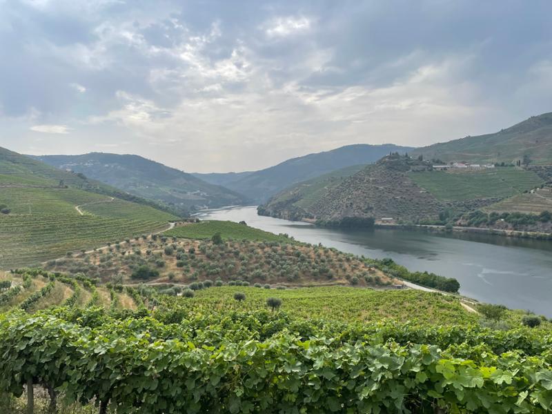 Douro  Porto & Salamanca River Cruise
