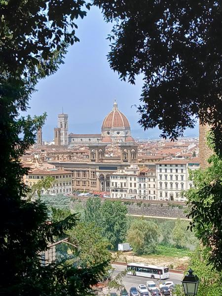 Your tour in Livorno - Pisa on Your Own