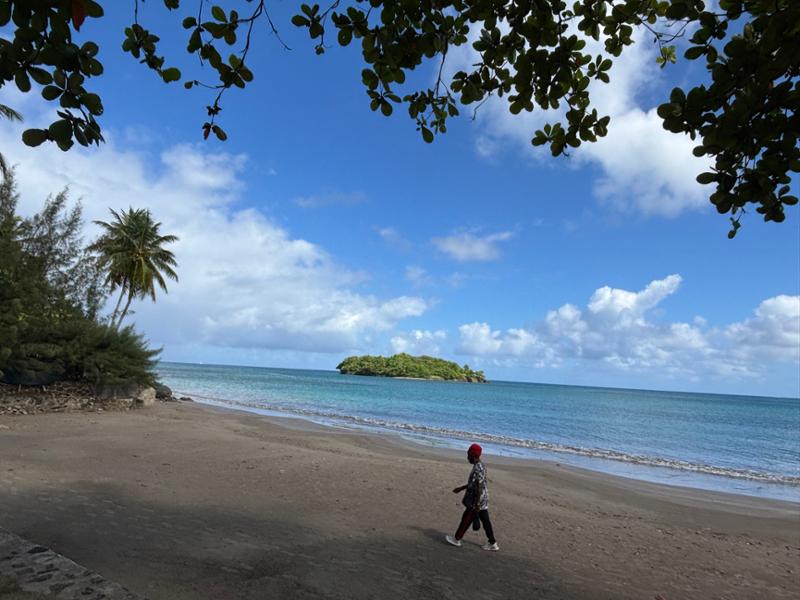 Sandals Halcyon Beach
