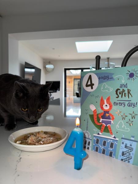 Canagan Chicken with Seabass Wet Cat Food
