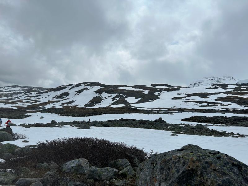 Your holiday: Norway's Fjords Fells & Railways Guided Walking