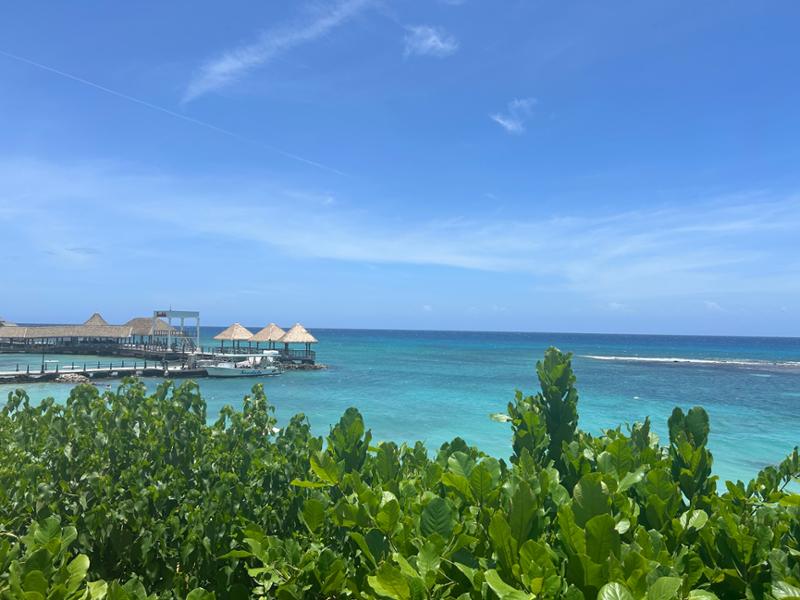 Sandals Ochi