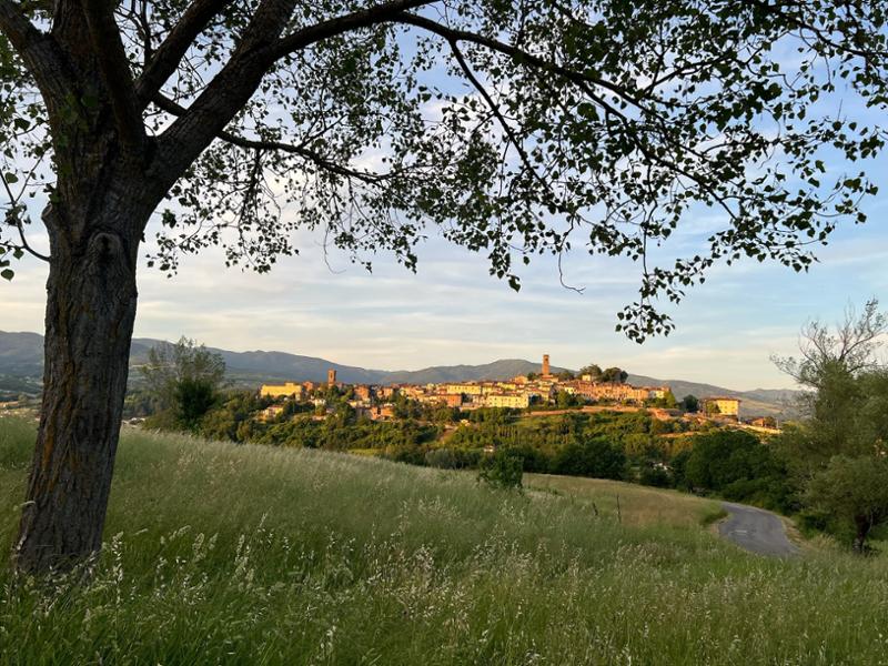 Il Soldano: Luxury sustainable restoration | Heated infinity pool | Walk into medieval hilltown