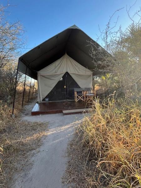 Magadigadi & the Wonders of the Delta + South Africa's rhinos = Amazing!