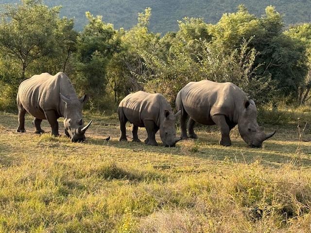 Magadigadi & the Wonders of the Delta + South Africa's rhinos = Amazing!