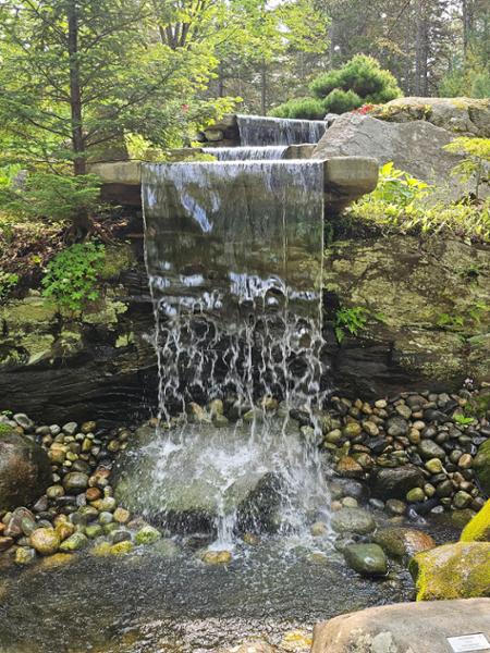 Roaming Coastal Maine on 05/30/2025