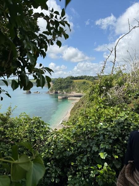 Living the Dream in Cornwall
