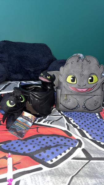 Toothless Loungefly Bag!