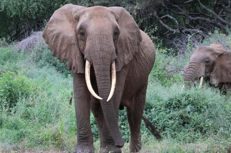 Tanzania
