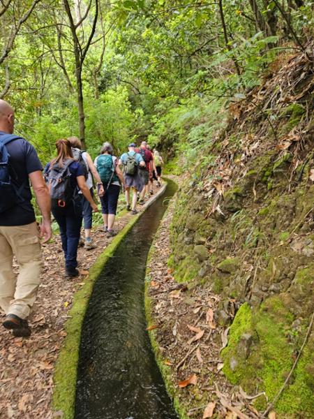 Walking in Madeira
