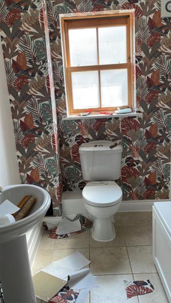 Eden Wallpaper Collection Khasi Jungle White Muriva M36908