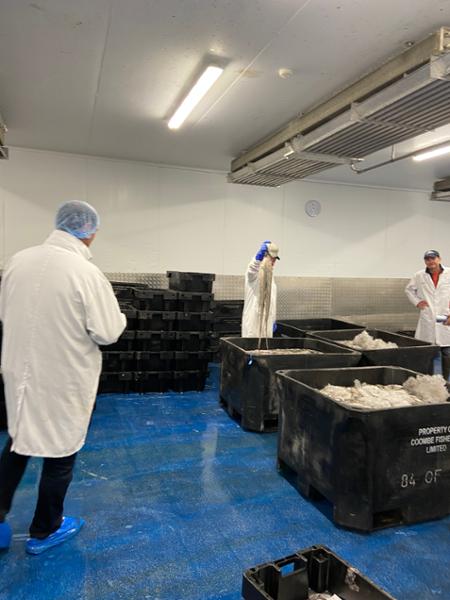 Fish Market Tour with Rockfish breakfast