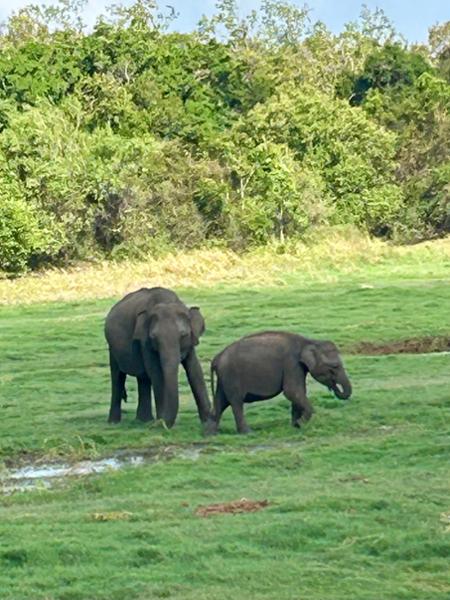 5395-Luxury Sri Lanka & Maldives