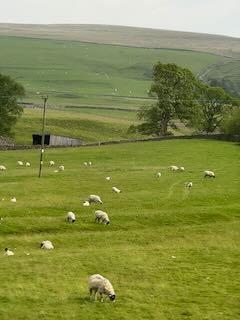 A beautiful time in the UK!