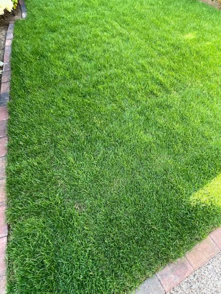 2 x Blended Topsoil £65 per bulk bag - British Standard BS3882:2015. Suitable for growing vegetables, flower beds and laying Turf