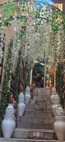 Your tour in Toulon - Exploring Toulon by Land & Sea