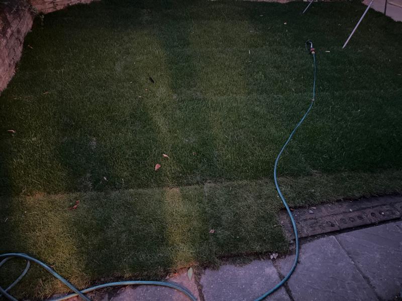 Great grass bad delivery