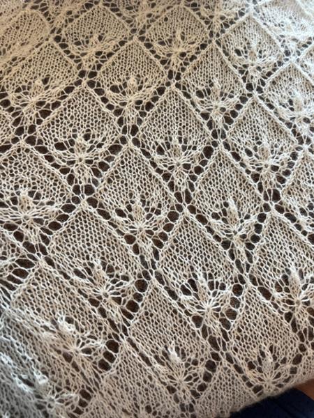 The Perfect Choice for Lace