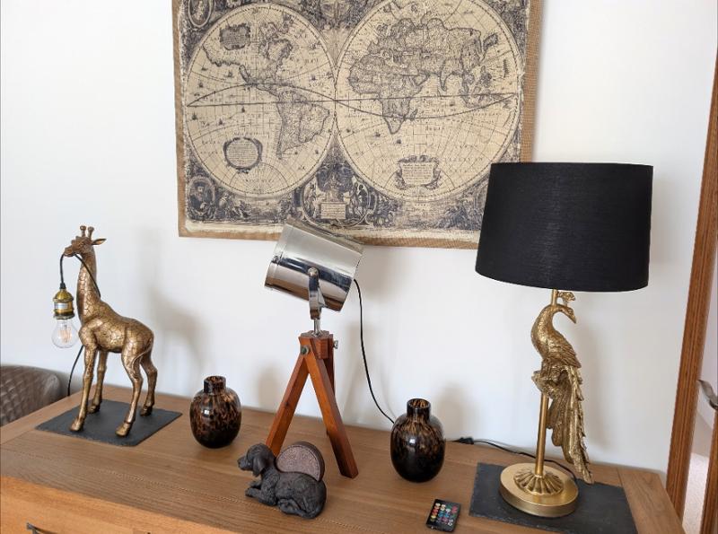 Lovely peacock lamp