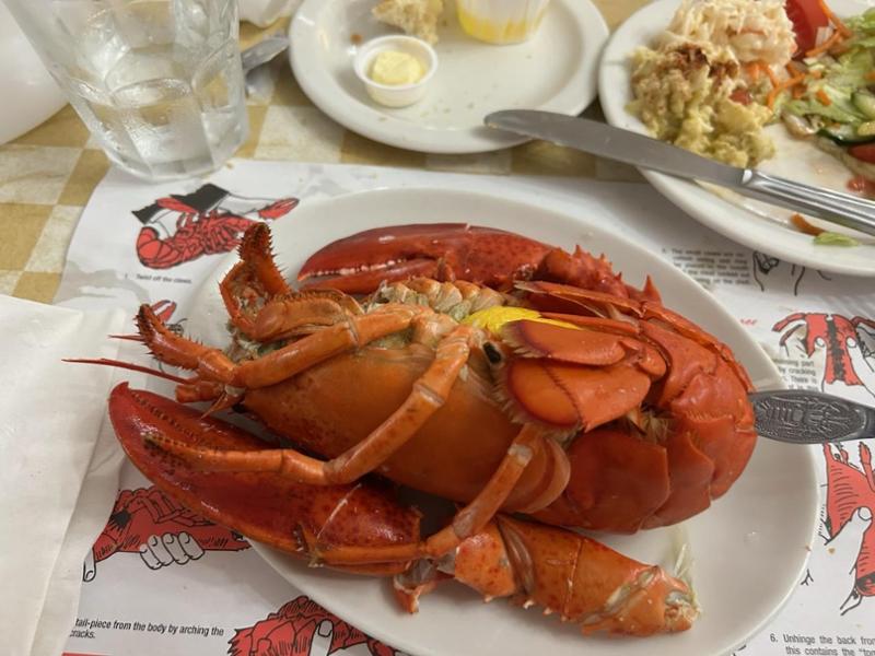 Canadian Maritimes Coastal Wonders on 06/01/2025