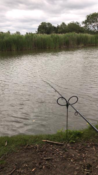 Method feeder rod