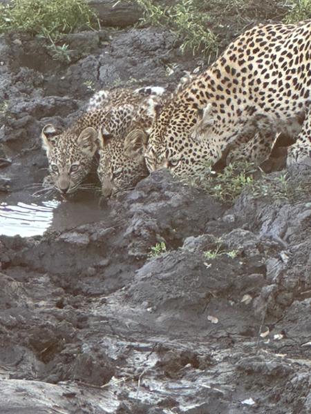 Magical Africa trip!