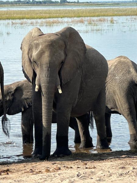 Magical Africa trip!